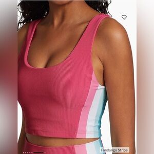 Beach Riot Tessa sports bra fandango color pink teal stripped ribbed top medium